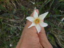 DSCN4692.JPG