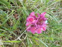 DSCN4693.JPG