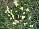 DSCN4694.JPG