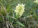 DSCN4695.JPG