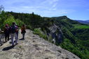 DSC_0166.JPG