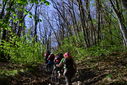 DSC_0223.JPG