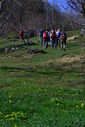DSC_0235.JPG