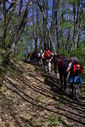 DSC_0266.JPG