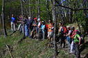 DSC_0275.JPG