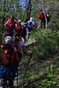 DSC_0276.JPG