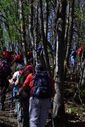 DSC_0278.JPG
