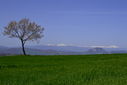DSC_0292.JPG