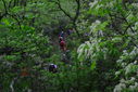 DSC_0379.JPG