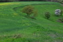 DSC_0392.JPG