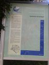 Velia_28329.jpg
