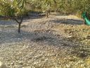 agriturismo_il_Mulino_282729.jpg