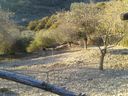 agriturismo_il_Mulino_282829.jpg
