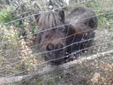 agriturismo_il_Mulino_282929.jpg