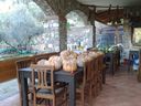 agriturismo_il_Mulino_28329.jpg