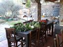 agriturismo_il_Mulino_28429.jpg
