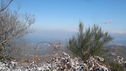 camminata_verso_monte_Stella_2014-12-29__281529.jpg
