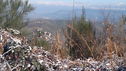 camminata_verso_monte_Stella_2014-12-29__281729.jpg