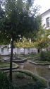 certosa_di_san_Lorenzo_a_Padula_281629.jpg