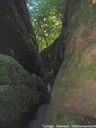 DSCF3266.JPG