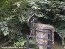 DSCF3393.JPG