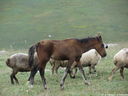 IMG_3714.JPG