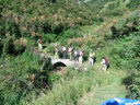 CameraZOOM-20120810083413107.jpg