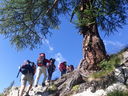CameraZOOM-20120810093609188.jpg