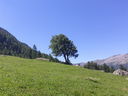 CameraZOOM-20120811123714878.jpg