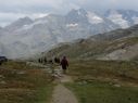 50_-_IMG_5584_1035x776.jpg