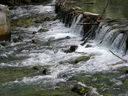 CIMG0008.JPG