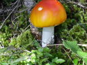 CIMG0079.JPG