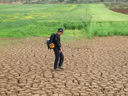 Palestina_103.jpg