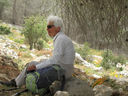 Palestina_125.jpg