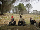 Palestina_126.jpg