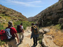 Palestina_364.jpg