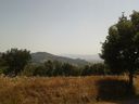 2012-08-05_15_15_08.jpg