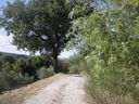 Fra_ago_12_28229.JPG