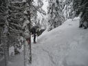 Renon_neve_14_284429.JPG