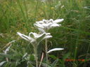 CIMG0113.JPG