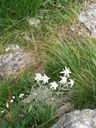 CIMG0119.JPG
