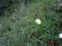 CIMG0133.JPG
