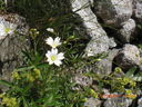 CIMG0217.JPG