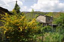 019_-_al_di_la_del_ponte.JPG