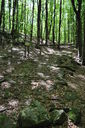037-verso_il_Passo_della_Futa.JPG
