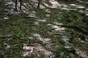 038-verso_il_Passo_della_Futa.JPG