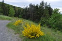 045-verso_Monte_di_Fo.JPG