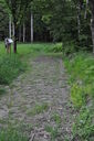 046-verso_Monte_di_Fo.JPG