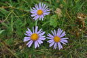 052_-_sulla_pancia_del_Gigante.JPG