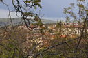054_-_verso_Castiglione.JPG